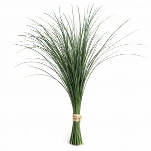 Берграсс (1 пучок)