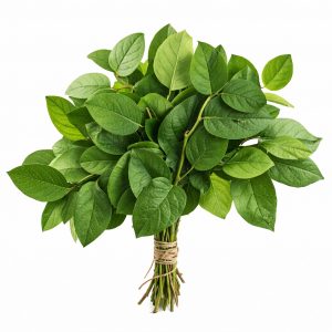 Салал (1 пучок)