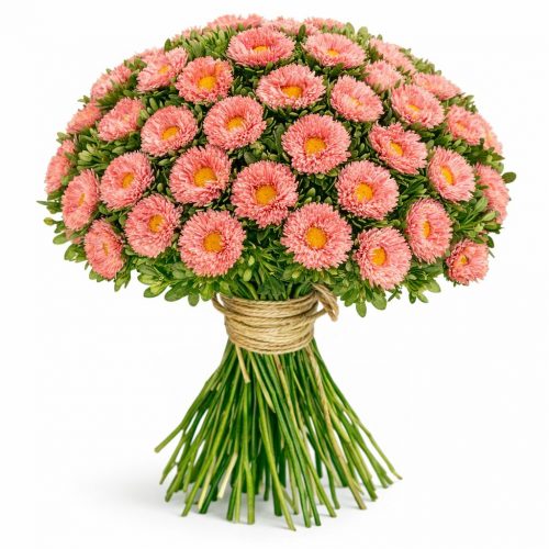 Астра оранжевая