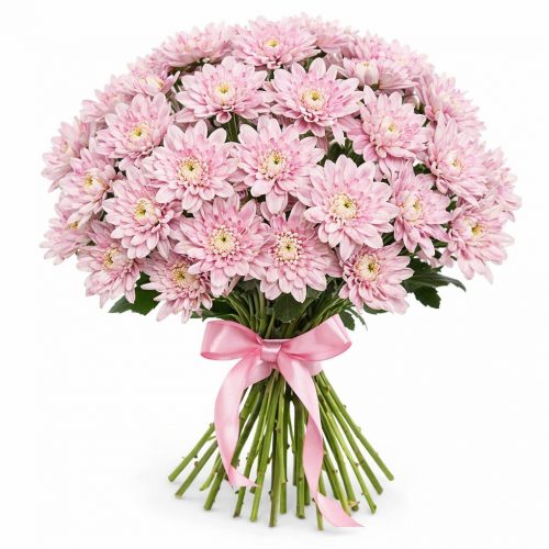 Хризантема кустовая розовая
