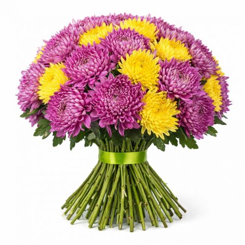 Хризантема одноголовая микс 1