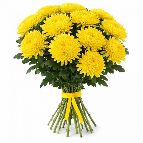 Хризантема одноголовая желтая