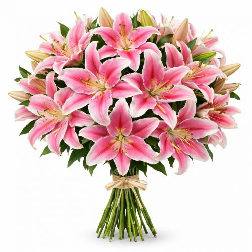 Лилия розовая