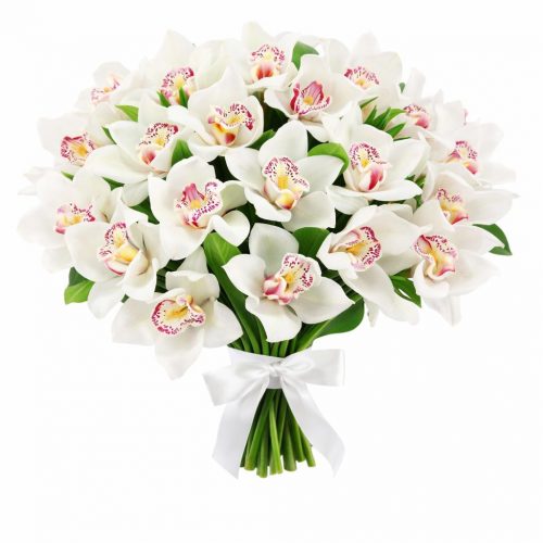 Орхидея белая