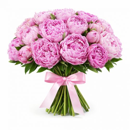 Пион розовый