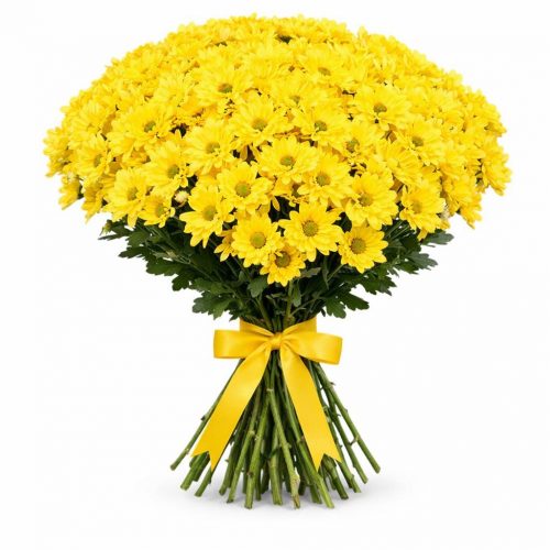 Ромашка желтая