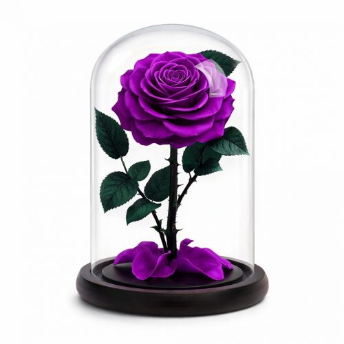 Роза в колбе фиолетовая