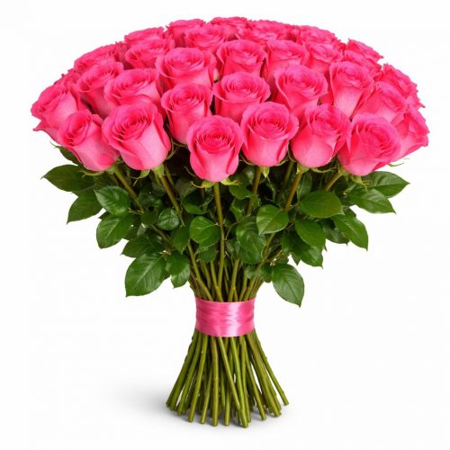 Розы Эквадор Pink Floyd