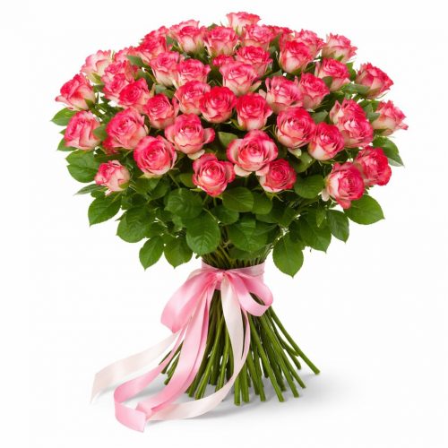 Розы Кустовые красно-белые