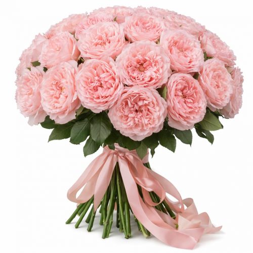 Розы Пионовидные одноголовые светло-розовые