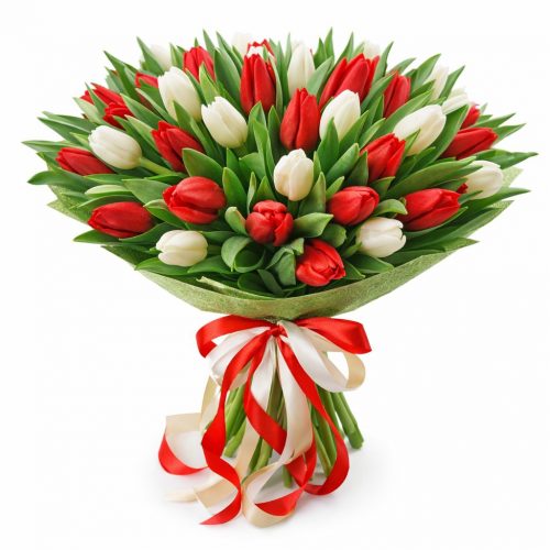 Тюльпаны микс 1